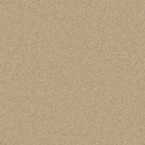 Timeless Deluxe Light Lace