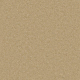 Timeless Deluxe Sand Salt