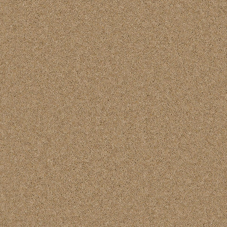 Timeless Twist Hessian Hue