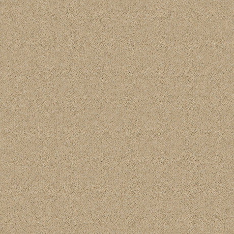 Timeless Twist Light Lace