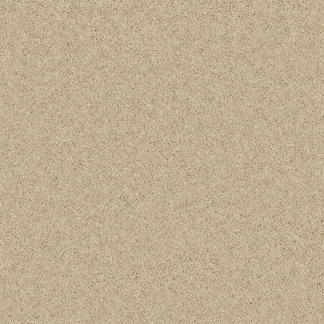 Timeless Twist Pure Pebble