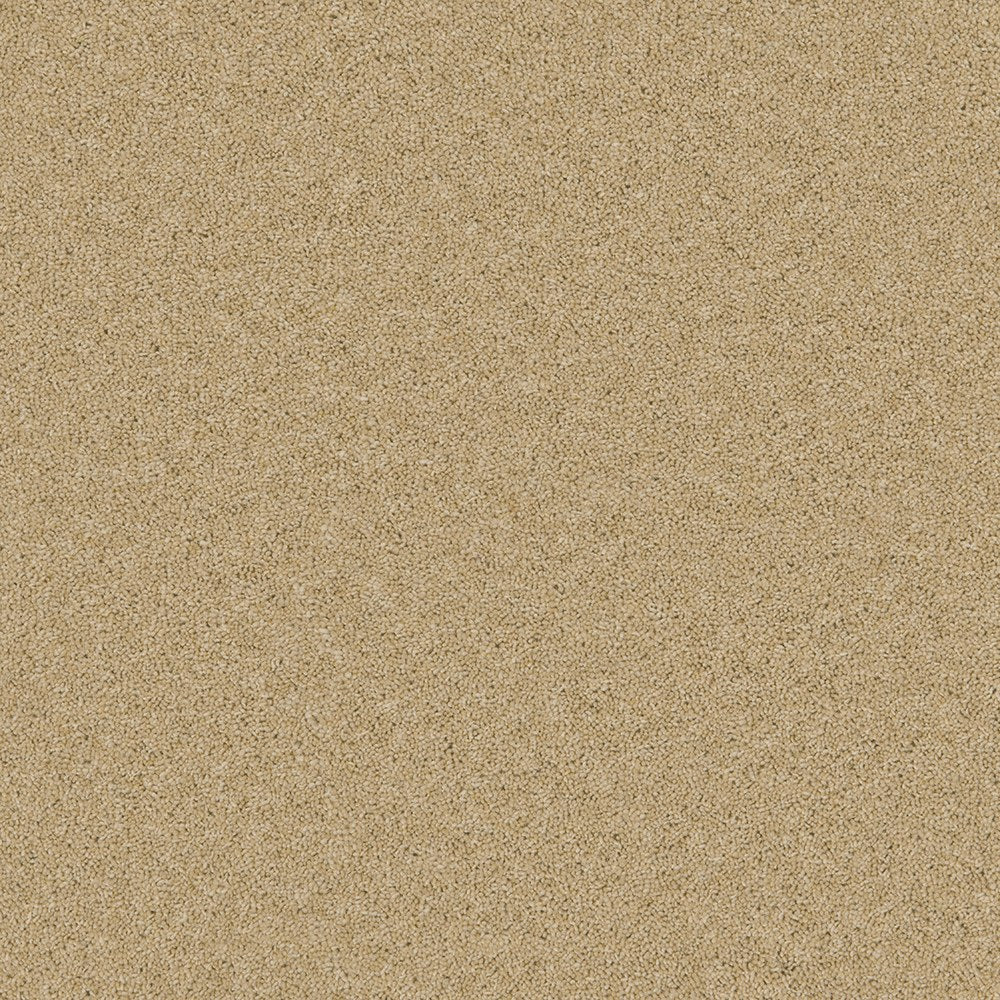 Timeless Twist Sand Salt