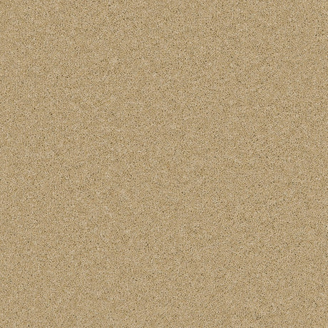 Timeless Twist Sand Salt