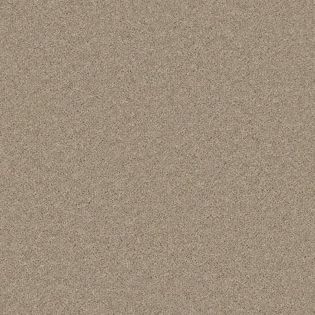Timeless Twist Tranquil Truffle