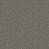 Trident Heathers Drifted Stone