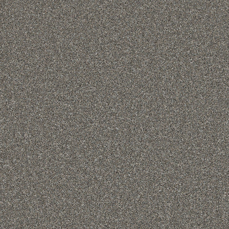 Trident Heathers Drifted Stone