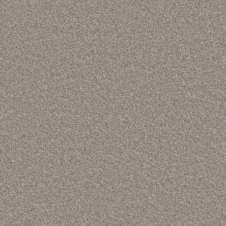 Trident Heathers Soft Truffle