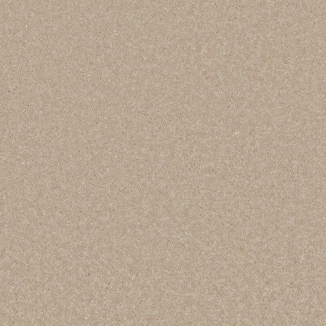 Trident Plains Coral Cove