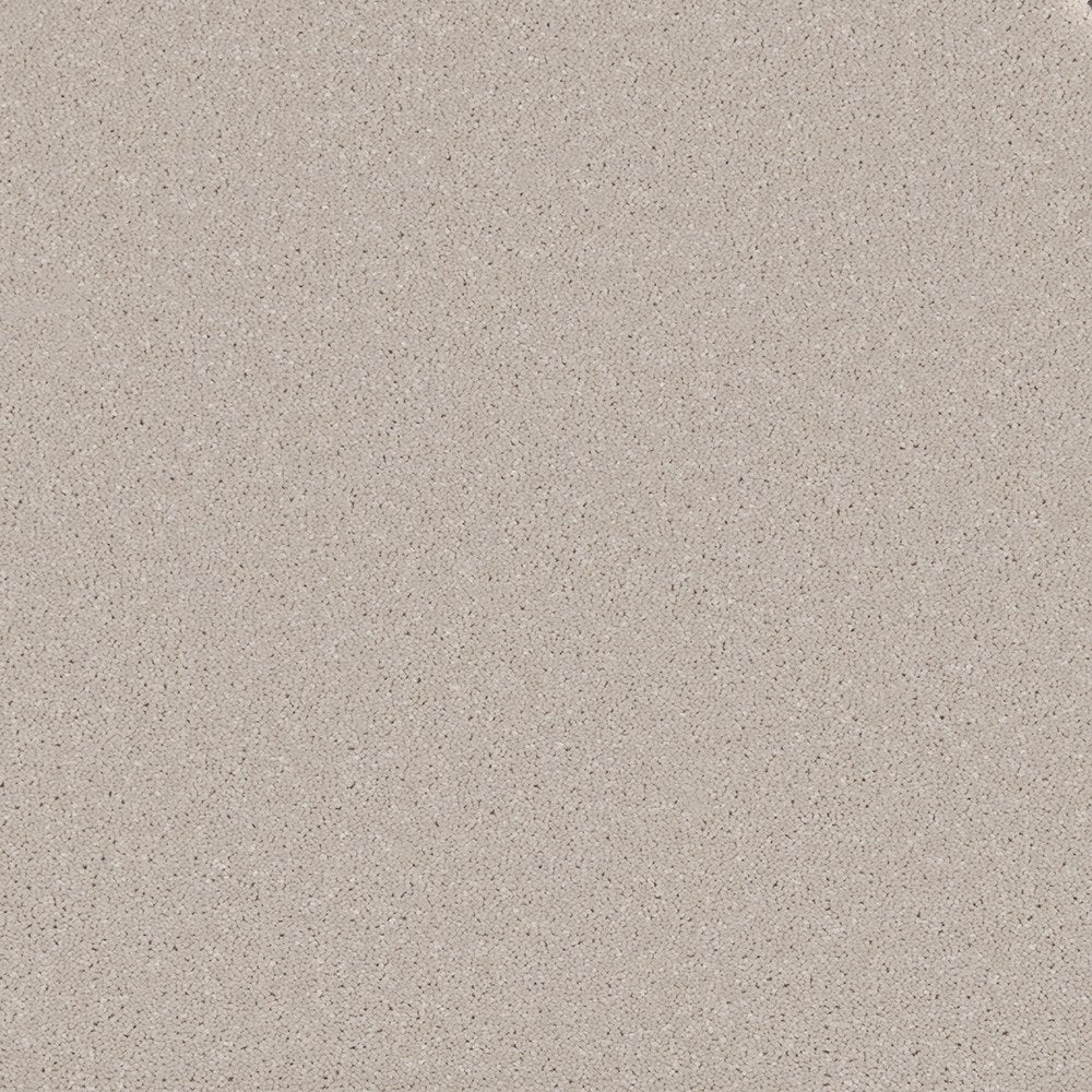 Trident Plains Driftwood Hue