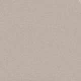 Trident Plains Driftwood Hue