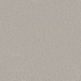 Trident Plains Graphite Silk