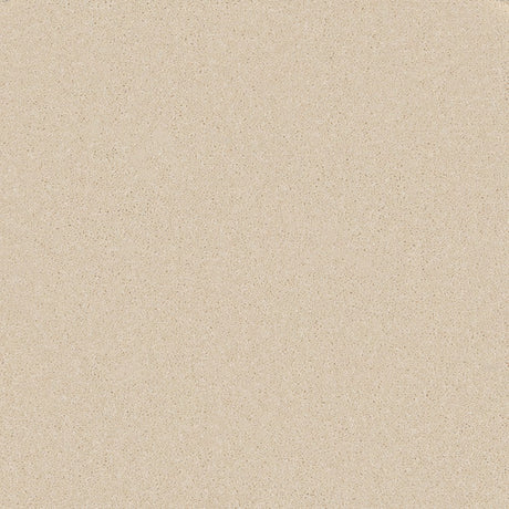 Trident Plains Oyster Shell