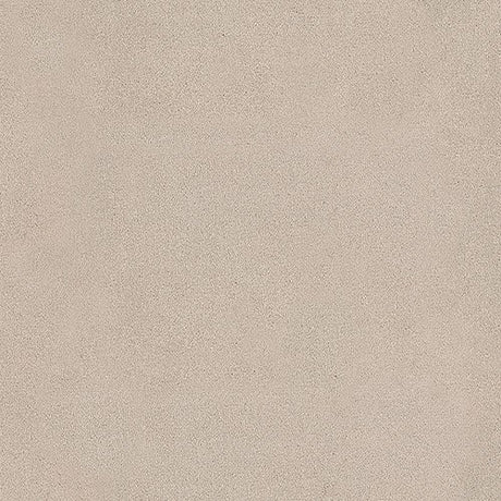 Trident Plains Quicklime