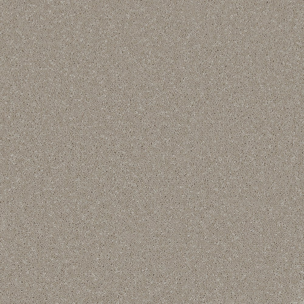 Trident Plains Taupe
