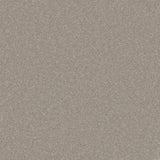 Trident Plains Taupe