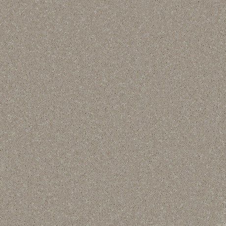 Trident Plains Taupe