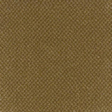Trident Tweed Winter Barley