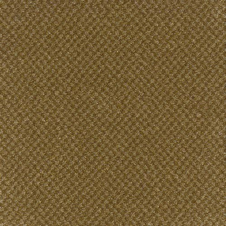 Trident Tweed Winter Barley