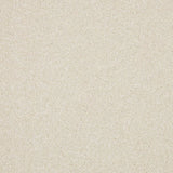 Inglewood Saxony carpet