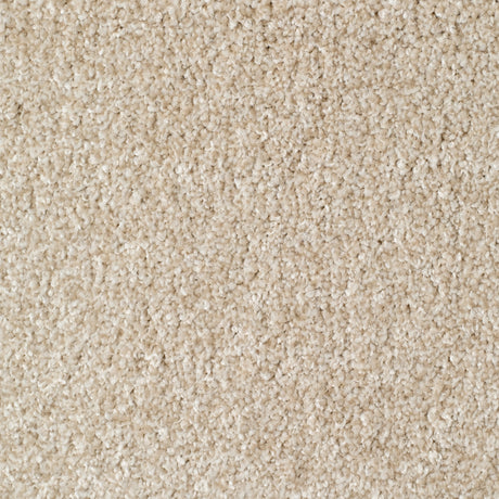 Mullion Carpet