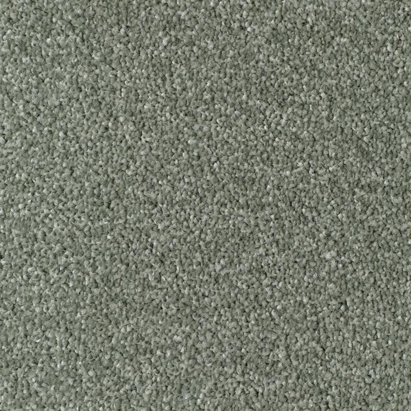 Mullion Carpet