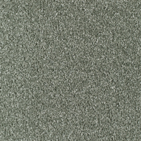 Mullion Carpet