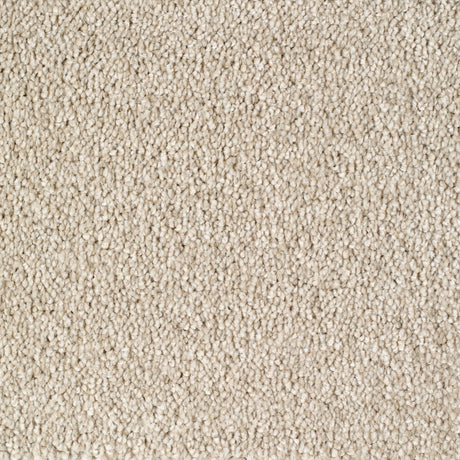 Plumpton Carpet
