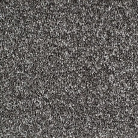 Rye Carpet