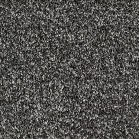 Rye Carpet