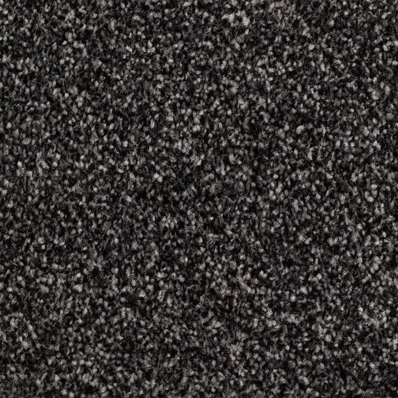 Rye Carpet