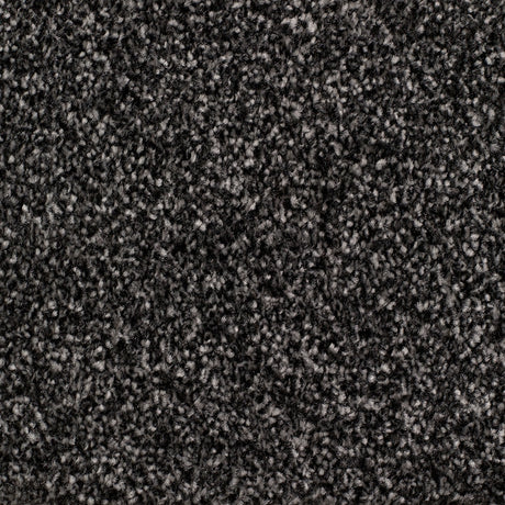 Rye Carpet