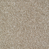 Rye Carpet
