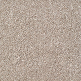 Salcombe Carpet