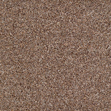 Salcombe Carpet