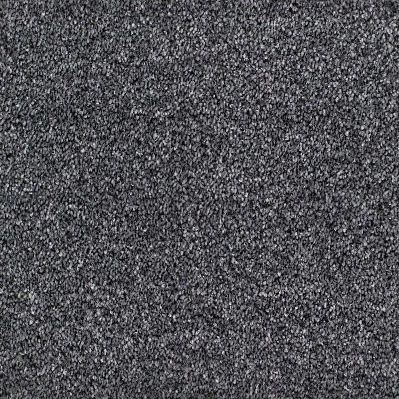 Salcombe Carpet