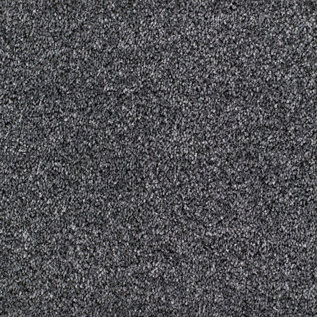 Salcombe Carpet