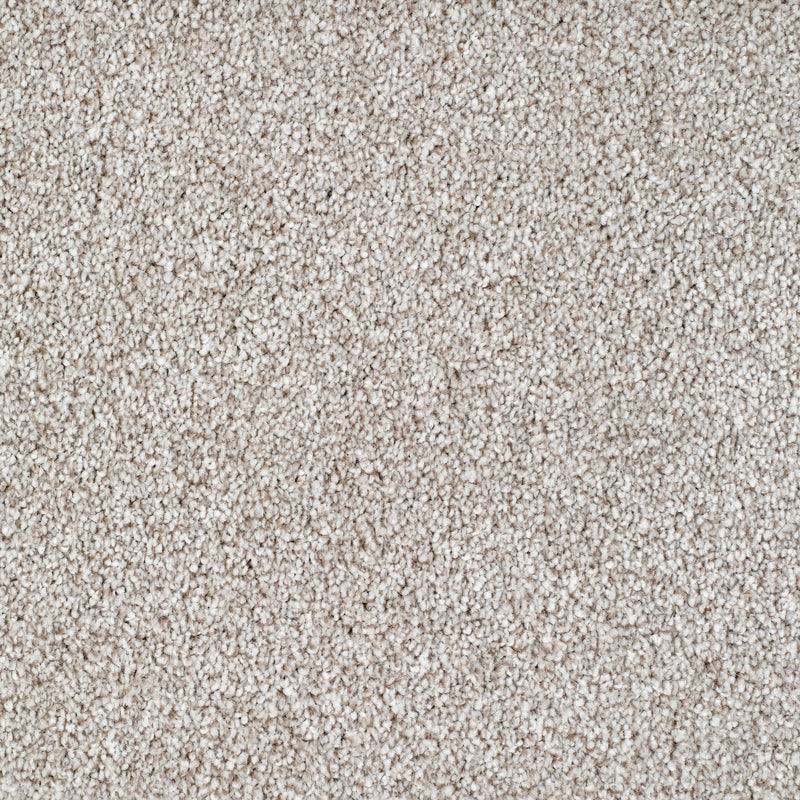 Salcombe Carpet
