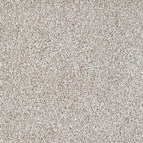 Salcombe Carpet