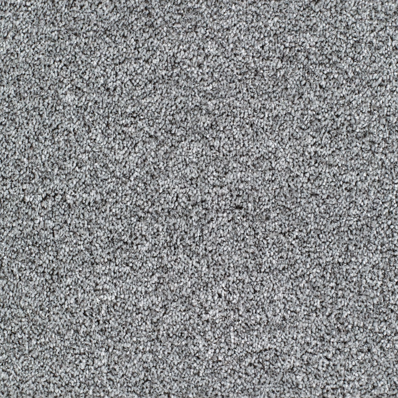 Salcombe Carpet