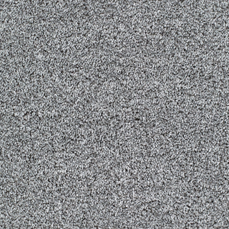 Salcombe Carpet