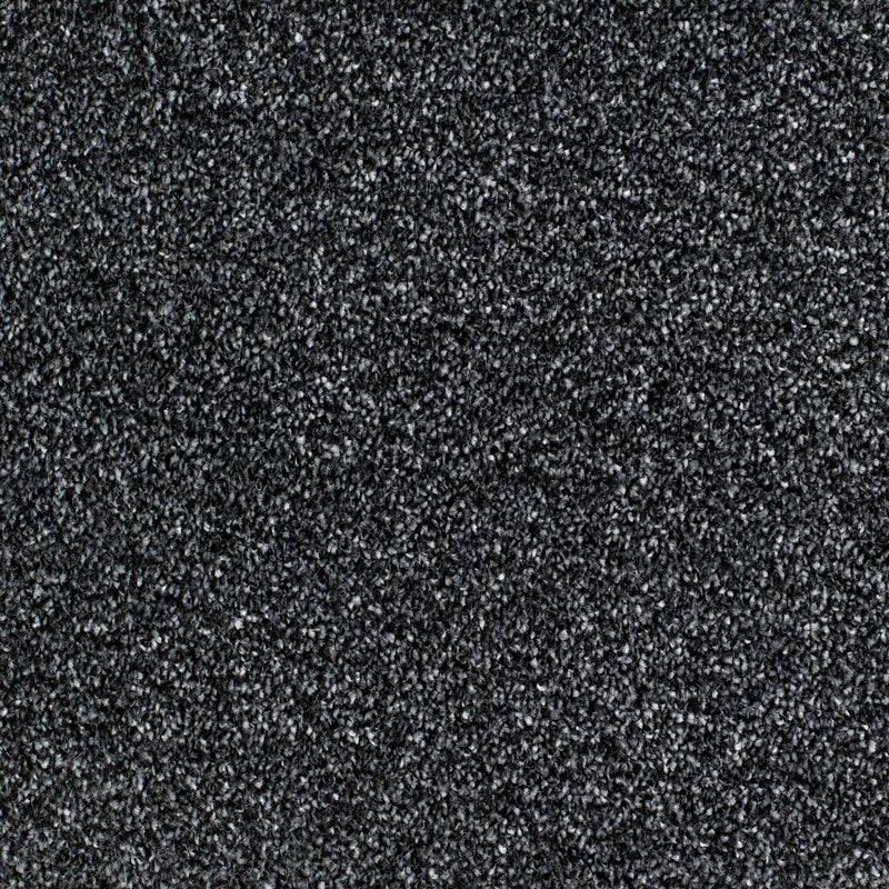 Salcombe Carpet