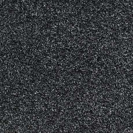 Salcombe Carpet