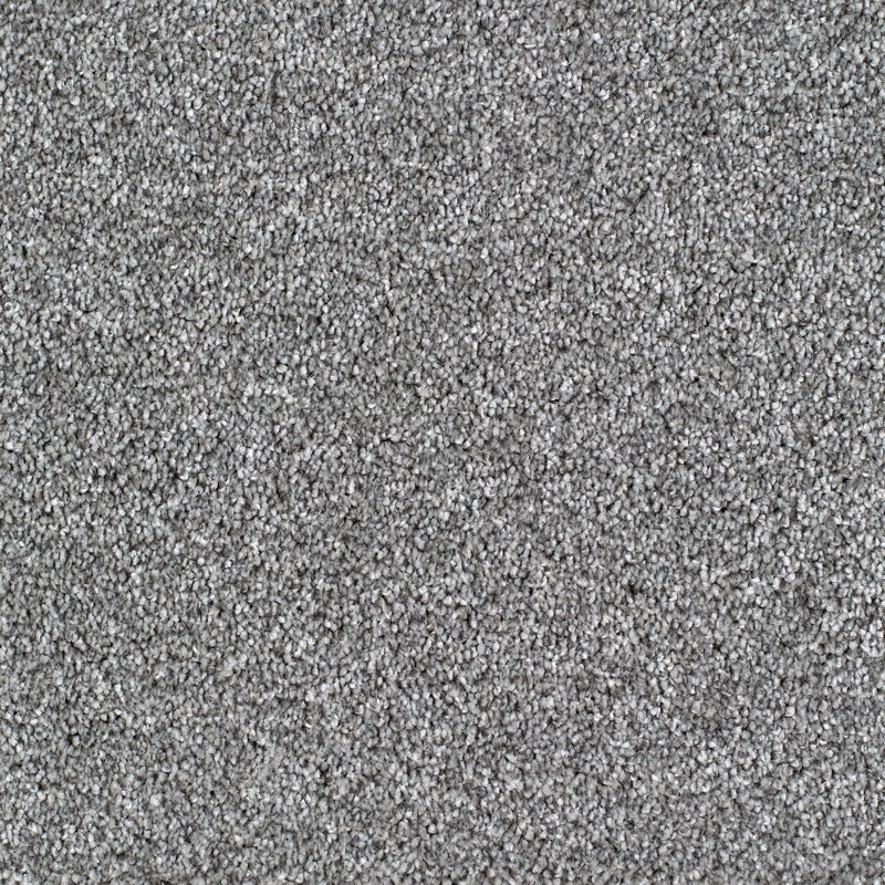 Salcombe Carpet