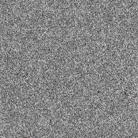 Salcombe Carpet