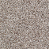 Salcombe Carpet