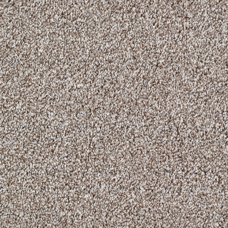 Salcombe Carpet