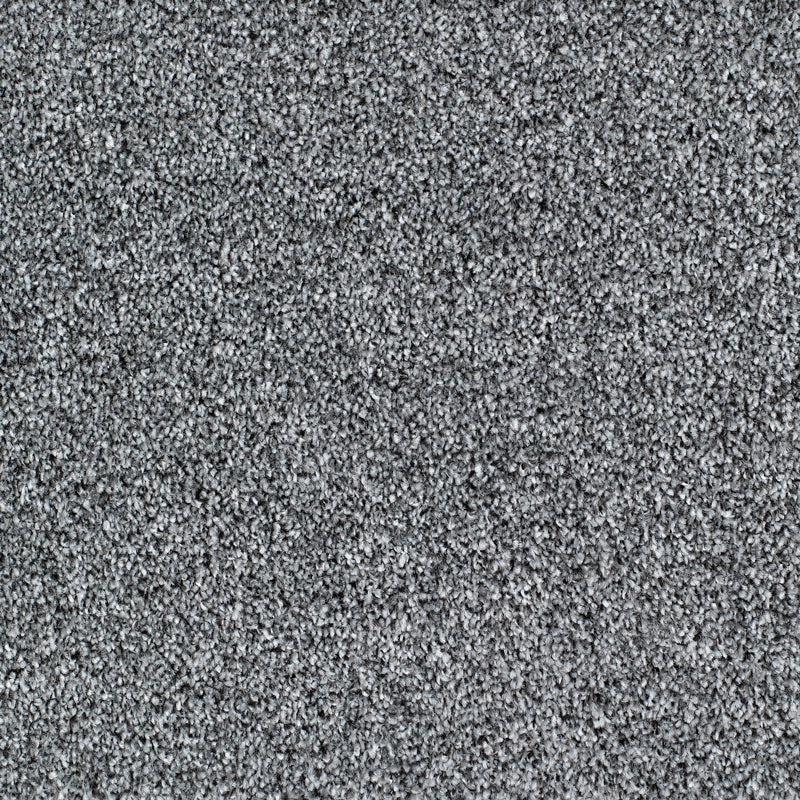 Salcombe Carpet