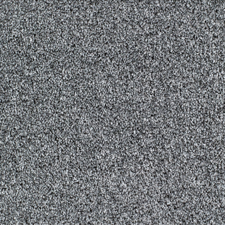 Salcombe Carpet