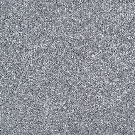 Salcombe Carpet