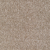 Seaford Carpet